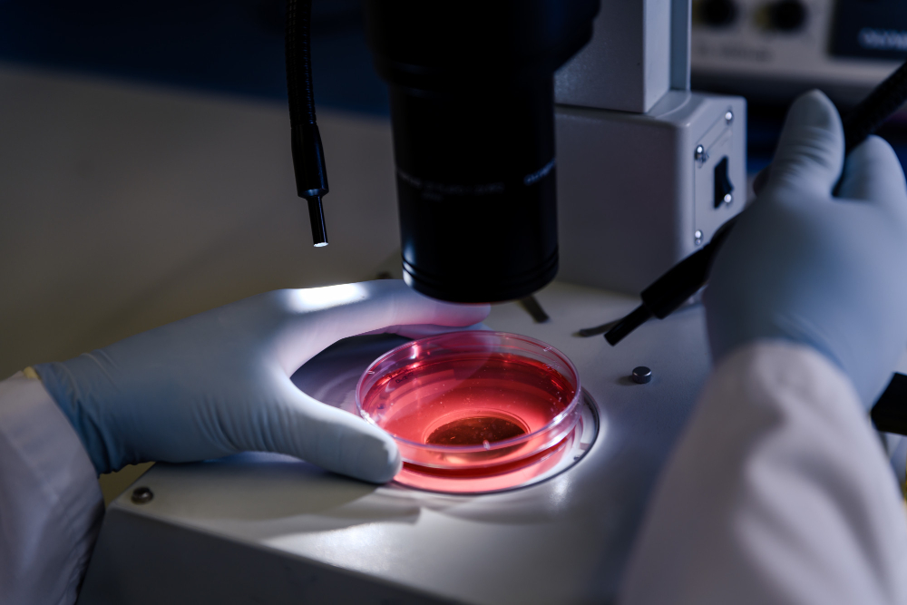 CYTOLOGIA PŁYNNA GINEKOLOGICZNA LBC